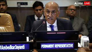 'आतंकी हमलों में मारे गए 20000 भारतीय', UNSC में भारत ने पाकिस्तान की उड़ाई धज्जियां