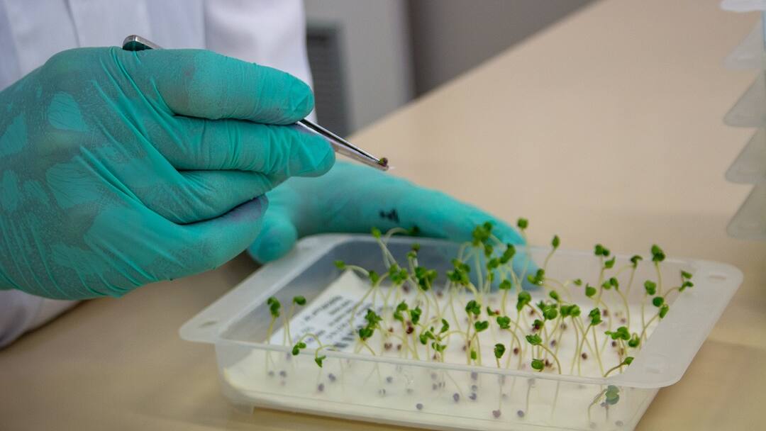 4 ஆண்டுகளில் தஞ்சாவூர் விதை தரக்கட்டுப்பாட்டு பிரிவு மேற்கொண்டுள்ள சூப்பர் பணிகள்