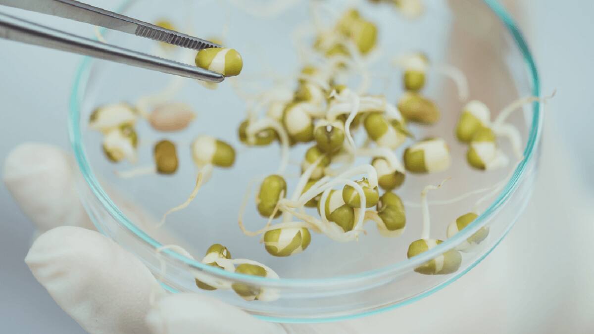 4 ஆண்டுகளில் தஞ்சாவூர் விதை தரக்கட்டுப்பாட்டு பிரிவு மேற்கொண்டுள்ள சூப்பர் பணிகள்