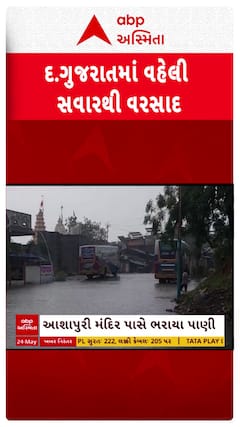 South Gujarat Rain:વરસાદ તૂટી પડતા આશાપુરી મંદિર પાસે ભરાયા પાણી, વૃક્ષ પણ થયા ધરાશાયી Watch Video