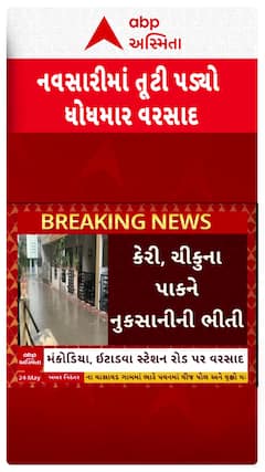 Navsari Rain: વરસાદ તૂટી પડતા ઉનાળુ પાકને ભારે નુકસાનની ભીતિ, જુઓ  શોર્ટ વીડિયોમાં