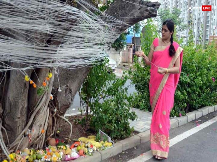 If the tree of Vat is not found on the day, then bring the banyan tree to a pot and then worship it at home.
