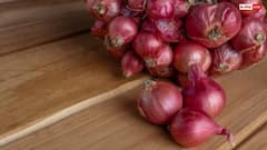 प्याज और गर्मी का क्या है कनेक्शन, लू से बचने के लिए इसे क्यों खाते हैं लोग?