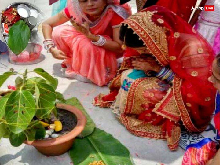 Brahma resides in the root of the banyan tree, Lord Vishnu in the stem and Lord Shiva on the branches. Its branches are considered a symbol of mother Savitri. Its worship gives the blessings of Tridev.