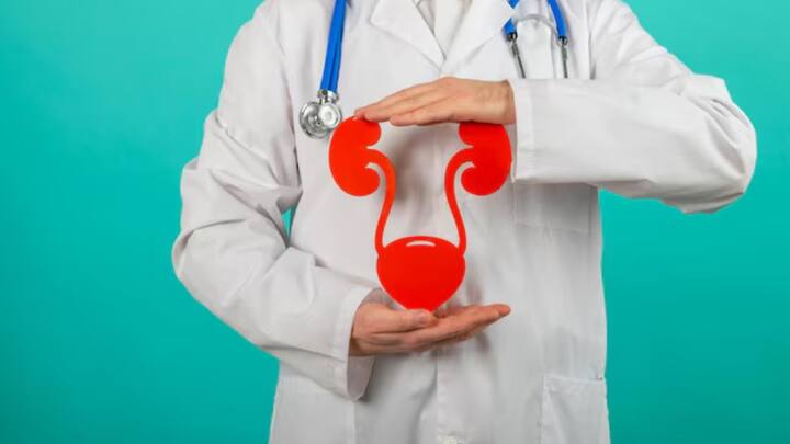 তবে সব ভাল যার, শেষ ভাল তার। শেষ পর্যন্ত মূত্র প্রতিস্থাপনের অস্ত্রপচার সফল হয়। বৃহস্পতিবার চিকিৎসকদের ধন্যবাদ জানান অস্কারও। তিনি বলেন, “টাইম বম্বের মতো ঘড়ির কাঁটা টিকটিক করছিল। জীবনে নতুন আশা পেলাম আমি।” অস্কারের পর আরও চার জনের শরীরে পরীক্ষামূলক ভাবে মূত্রথলি প্রতিস্থাপনের পরিকল্পনা রয়েছে চিকিৎসকদের। ছবি: ফ্রিপিক।