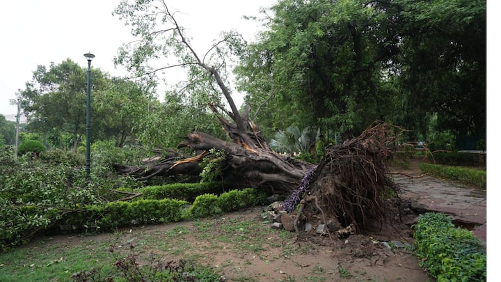 দুর্যোগের জেরে প্রভাবিত হয়েছে দিল্লির ইন্দিরা গাঁধী আন্তর্জাতিক বিমানবন্দরের পরিষেবাও। বেশ কিছু বিমান নামতেই পারেনি সেখানে। ঘুরিয়ে অন্যত্র নিয়ে যেতে হয়।