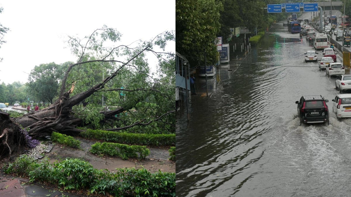 Heavy Rains Flood Delhi Roads; Flight Services Hit, Trees Uprooted