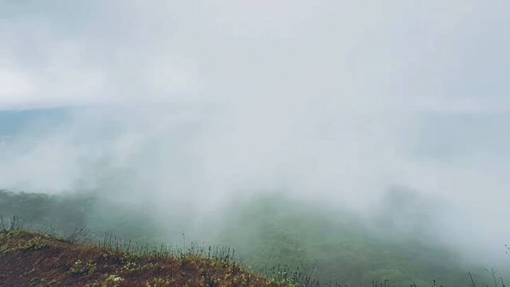 अशातच महाराष्ट्रात सर्वाधिक पाऊस पडणार ठिकाण म्हणून ओळखला जाणारा सिंधुदुर्ग जिल्ह्यात आंबोली घाटातील डोळ्याची पारणं फेडणारी दृश्य सध्या पहायला मिळत आहेत.