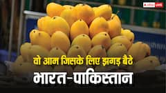 कश्मीर ही नहीं ये 'आम' भी है भारत-पाकिस्तान के बीच तनाव का मुद्दा, 1981 से झगड़ रहे हैं दोनों देश