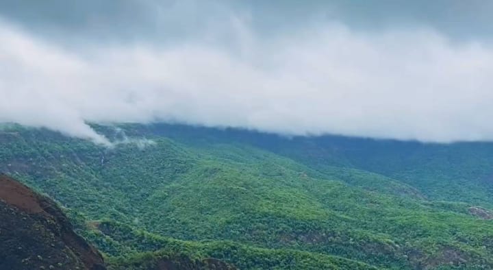 Sindhudurg News : अशातच महाराष्ट्रात सर्वाधिक पाऊस पडणार ठिकाण म्हणून ओळखला जाणारा सिंधुदुर्ग जिल्ह्यात आंबोली घाटातील डोळ्याची पारणं फेडणारी दृश्य सध्या पहायला मिळत आहेत.