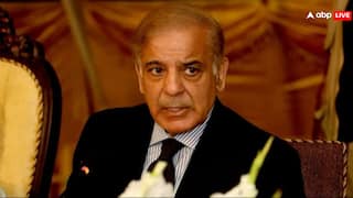 'Appalled': India Slams Pakistan At UN For Blaming Breach Of Indus Waters Treaty