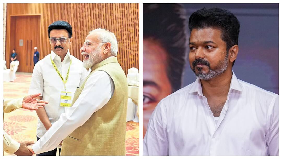 போட்டோவை உற்று பாருங்கள்.. பூனைக்குட்டி வெளியே வந்திடுச்சு.. வெளுத்து வாங்கிய விஜய்