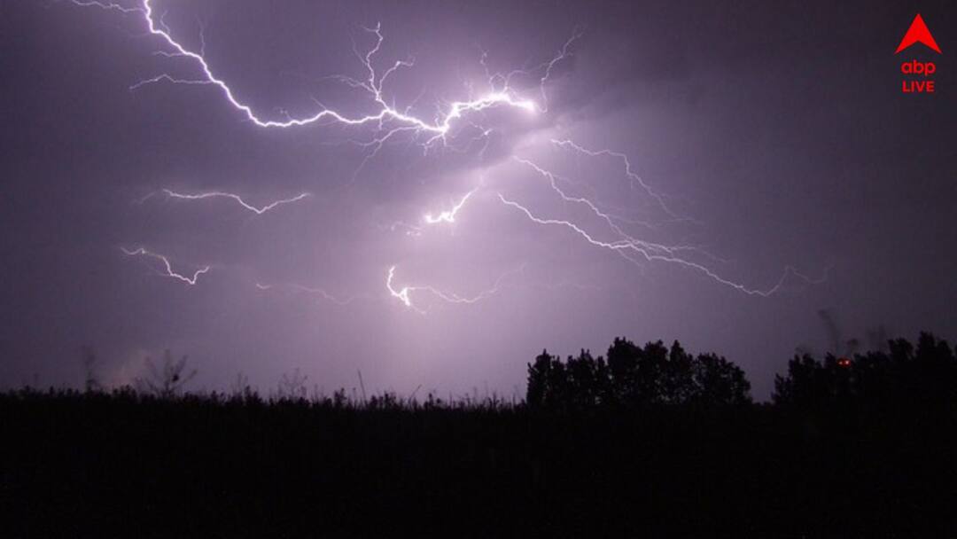 পাকিস্তানে তীব্র ঝড়-বৃষ্টিতে অন্ততপক্ষে ২০ জনের মৃত্যু, আহত ১৫০-র বেশি ! তছনছ পাঞ্জাব প্রদেশ পাকিস্তানে তীব্র ঝড়-বৃষ্টিতে অন্ততপক্ষে ২০ জনের মৃত্যু, আহত ১৫০-র বেশি ! তছনছ পাঞ্জাব প্রদেশ