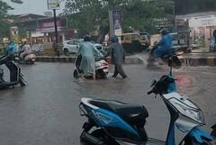 गाोव्यात मुसळधार पाऊस, रस्त्यांना नद्यांचं स्वरुप, साताऱ्यातही तुफान पावसामुळं नदीवरील बंधारे ओव्हरफ्लो