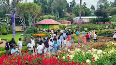 கோலாகலமாக  நடைபெற்று வரும் கொடைக்கானல் மலர்க்கண்காட்சி.. மகிழ்ச்சியில் சுற்றுலா பயணிகள்