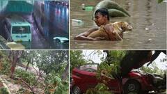 मुसळधार पाऊस आणि वादळाने देशाची राजधानी अक्षरश: तुंबली; 100 हून अधिक विमानांना फटका; सब इन्स्पेक्टरचा छत कोसळून मृत्यू