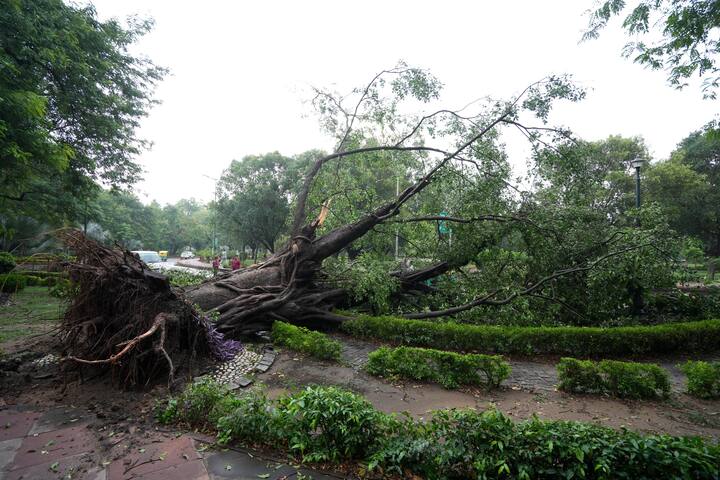 भारत मौसम विज्ञान विभाग (आईएमडी) ने बताया कि दिल्ली के प्रमुख मौसम केंद्र ने देर रात 11 बजकर 30 मिनट से सुबह पांच बजकर 30 मिनट के बीच छह घंटे में 81.2 मिलीमीटर बारिश दर्ज की और इस दौरान 82 किलोमीटर प्रति घंटे की रफ्तार से हवाएं चलीं.