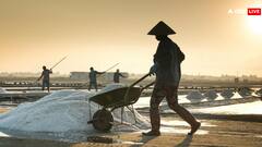 पड़ोसी देश की इकॉनोमी हो गई तबाह, अब नमक के लिए मचा हाहाकार; एक किलो की कीमत सुन उड़ जाएंगे होश