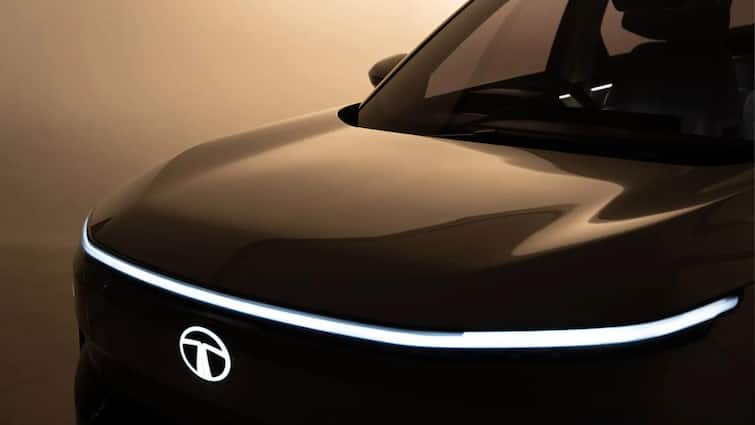Tata Motors Aims To Return To 50 Per Cent Market Share In EV Market Over 18 To 24 Months: MD
