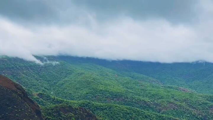 मनमोहक अशी ही दृश्य निसर्गप्रेमी काका भिसे यांनी चित्रित केली आहेत.