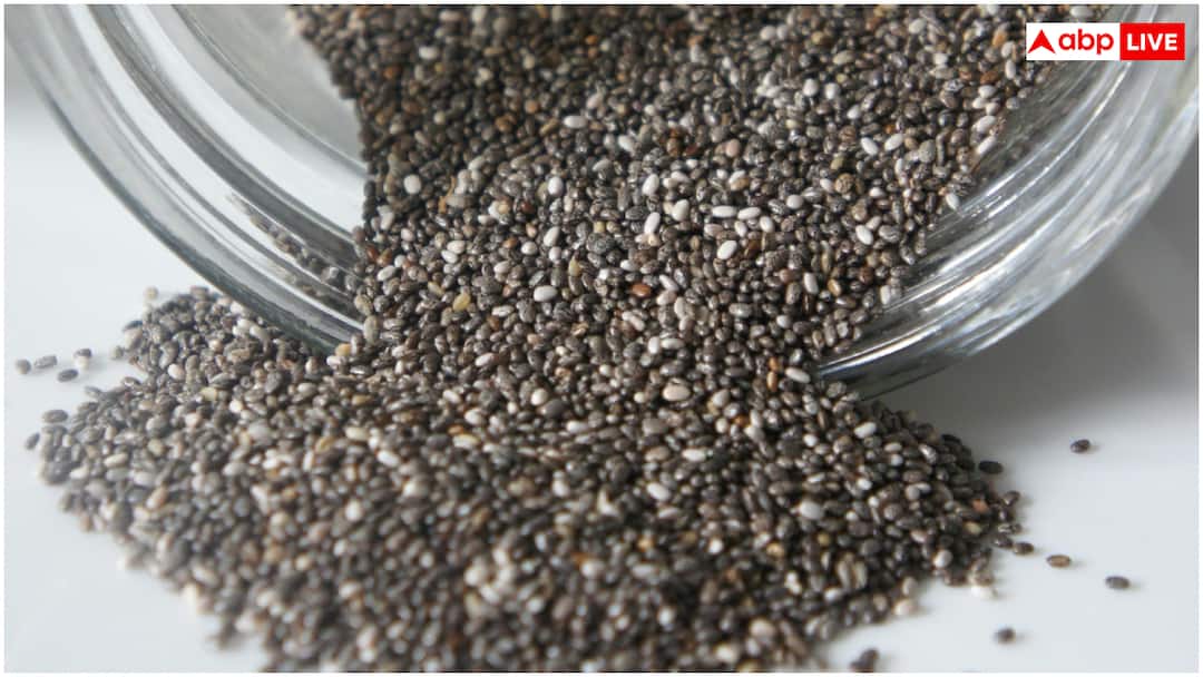 Chia Seeds: चिया सीड्स खाने का तरीका जान लें... इतनी मात्रा में करें सेवन, नहीं तो जाना पड़ेगा डॉक्टर के पास How much quantity of chia seeds safe for human body to consume daily Chia Seeds: चिया सीड्स खाने का तरीका जान लें... इतनी मात्रा में करें सेवन, नहीं तो जाना पड़ेगा डॉक्टर के पास