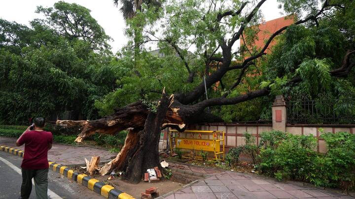 প্রবল ঝড়ে দিল্লিতে জায়গায় জায়গায় গাছ ভেঙে পড়েছে। কোথাও পেভমেন্টের উপরই গাছ ভেঙে পড়েছে। কোথাও আবার গাছ পড়ে অবরুদ্ধ হয়ে গিয়েছে রাস্তা।