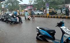गाोव्यात मुसळधार पाऊस, रस्त्यांना नद्यांचं स्वरुप, साताऱ्यातही तुफान पावसामुळं नदीवरील बंधारे ओव्हरफ्लो