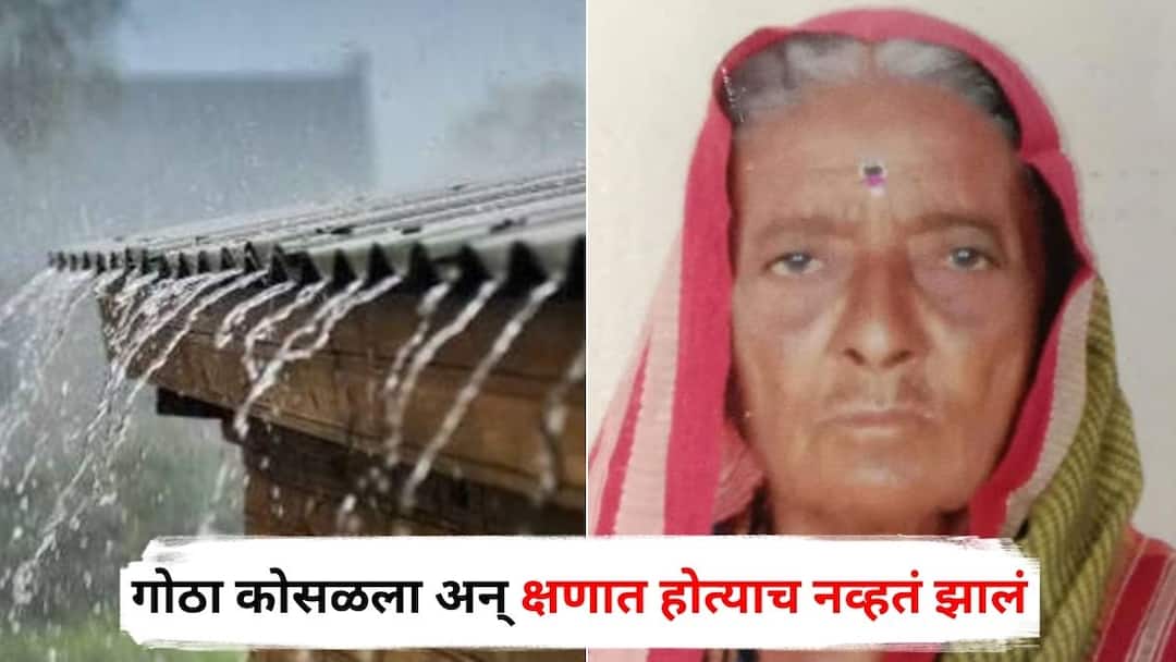 Solapur News : वादळी वाऱ्यासह जोरदार पावसात आजीबाई जनावरांच्या गोठ्यात गेल्या, क्षणात होत्याच नव्हतं झालं; सोलापुरातील दुर्दैवी घटना Solapur News woman dies after cowshed collapses in Shirapur village of Mohol taluka due to rain Solapur News : वादळी वाऱ्यासह जोरदार पावसात आजीबाई जनावरांच्या गोठ्यात गेल्या, क्षणात होत्याच नव्हतं झालं; सोलापुरातील दुर्दैवी घटना