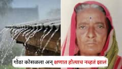 वादळी वाऱ्यासह जोरदार पावसात आजीबाई जनावरांच्या गोठ्यात गेल्या, क्षणात होत्याच नव्हतं झालं; सोलापुरातील दुर्दैवी घटना