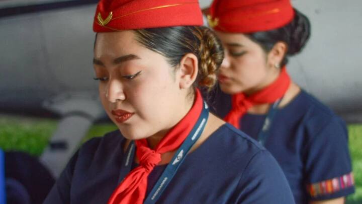 फ्रीलांस एयर होस्टेस बनने के लिए प्रोफेशनल एयर होस्टेस ट्रेनिंग प्रोग्राम की जरूरत नहीं होती, बल्कि इसके लिए जो जरूरी कोर्स उसे ही किया जाता है. इस पर आमतौर से 3.4 लाख रुपये का खर्चा आता है.