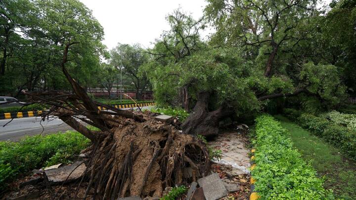 সেই সঙ্গে প্রবল ঝোড়ো হাওয়া বইতে শুরু করে। ঘণ্টায় প্রায় ৮২ কিলোমিটার গতিবেগ ছিল ঝোড়ো হাওয়ার।