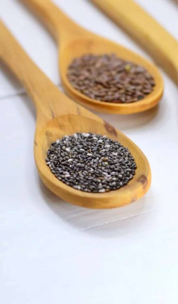 बालकनी में कैसे उगा सकते हैं चिया सीड्स?