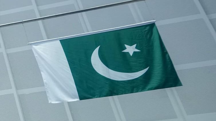 Pakistan's Economy Poised for Recovery: Minister Optimistic About 'Turnaround Year' Amidst Global Growth
