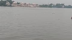 Pandharpur Heavy Rain: पंढरपुरात मुसळधार पाऊस, चंद्रभागा नदीची पातळी वाढली, जुना दगडी पूल पाण्याखाली