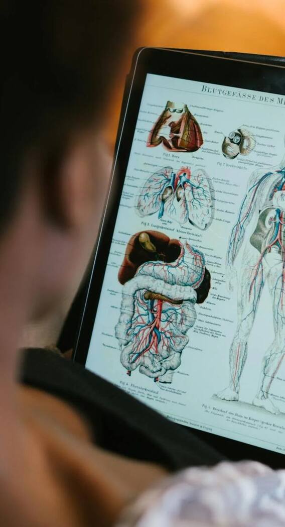 क्या इंसान के शरीर में वाकई होता है सोना?