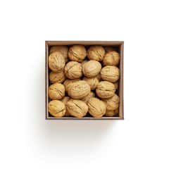 Walnut For Brain: मेंदूसारखे दिसणारे हे फळ मेंदूसाठी आहे खूप फायदेशीर; जाणून घ्या!