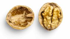 Walnut For Brain: मेंदूसारखे दिसणारे हे फळ मेंदूसाठी आहे खूप फायदेशीर; जाणून घ्या!