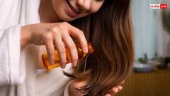 सरसों तेल में इस 1 चीज को मिलाकर लगाने से बाल हो जाएंगे काले, बस जान लें लगाने का तरीका