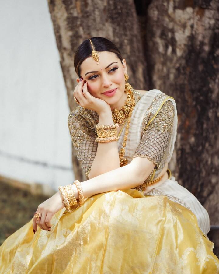 एक्ट्रेस ने इस तस्वीर में ट्रेडिशनल अंदाज में साड़ी पहनी हुई है. अपने साड़ी लुक को और भी शानदार बनाने के लिए इन्होंने हेवी वर्क वाला ब्लाउज पहना है, जो इनके लुक को बेहद ही खास बना रहा है