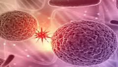 Health Benefits: શું ઇન્ટરમિટેંટ ફાસ્ટિંગ કેન્સરના કોષોના વિકાસને રોકે છે? જાણો શું કહે છે રિસર્ચના તારણ