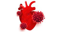 ఇండియాలో పెరుగుతోన్న సైలెంట్ హార్ట్ ఎటాక్స్.. కారణాలు, లక్షణాలు, తీసుకోవాల్సిన జాగ్రత్తలివే