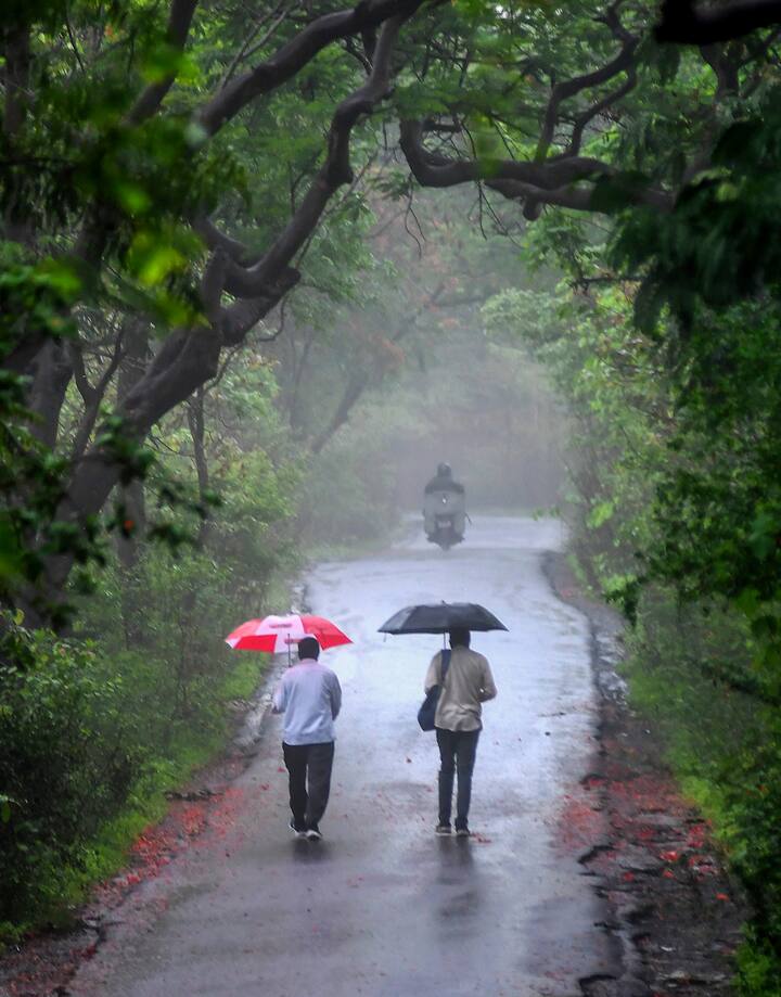 आईएमडी ने बताया कि सुबह 8.30 बजे से 11.30 बजे के बीच कोलाबा में 105.2 मिलीमीटर, सांताक्रूज (55 मिमी), बांद्रा (68.5 मिमी), जुहू हवाई अड्डा (63.5 मिमी), चेंबूर (38.5 मिमी), विक्रोली (37.5 मिमी), महालक्ष्मी (33.5 मिमी) और सायन में 53.5 मिमी बारिश हुई.