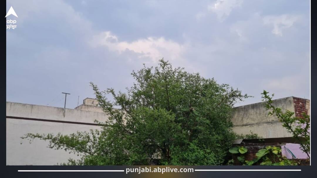 Punjab Weather: ਪੰਜਾਬ 'ਚ ਨੌਤਪਾ ਦੌਰਾਨ ਗਰਮੀ ਤੇ ਲੂ ਤੋਂ ਰਾਹਤ; ਤਾਪਮਾਨ 5.4 ਡਿਗਰੀ ਸੈਲਸੀਅਸ ਹੇਠਾਂ ਡਿੱਗਿਆ, 8 ਜ਼ਿਲ੍ਹਿਆਂ 'ਚ ਮੀਂਹ ਦੀ ਵਾਰਨਿੰਗ Punjab Weather 26 May: Relief from Heat and Hot Winds During Nautapa; Temperature Drops by 5.4°C, Rain Alert in 8 Districts Punjab Weather: ਪੰਜਾਬ 'ਚ ਨੌਤਪਾ ਦੌਰਾਨ ਗਰਮੀ ਤੇ ਲੂ ਤੋਂ ਰਾਹਤ; ਤਾਪਮਾਨ 5.4 ਡਿਗਰੀ ਸੈਲਸੀਅਸ ਹੇਠਾਂ ਡਿੱਗਿਆ, 8 ਜ਼ਿਲ੍ਹਿਆਂ 'ਚ ਮੀਂਹ ਦੀ ਵਾਰਨਿੰਗ