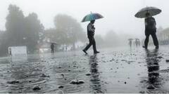 सकाळपासून पुण्यात जोरदार पावसाला सुरुवात, आज पावसाचा यलो अलर्ट जारी 