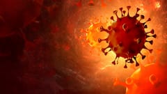 Covid 19 : কলকাতায় প্রসূতির করোনা, হাসপাতালে ভর্তি কিশোর, এ রাজ্যে নতুন করে কোভিডের ঢেউ?