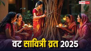 Vat Savitri Vrat 2025: वट सावित्री की पूजा के बाद पत्नियां क्यों झलती है पति को पंखा, क्या है इसका महत्व