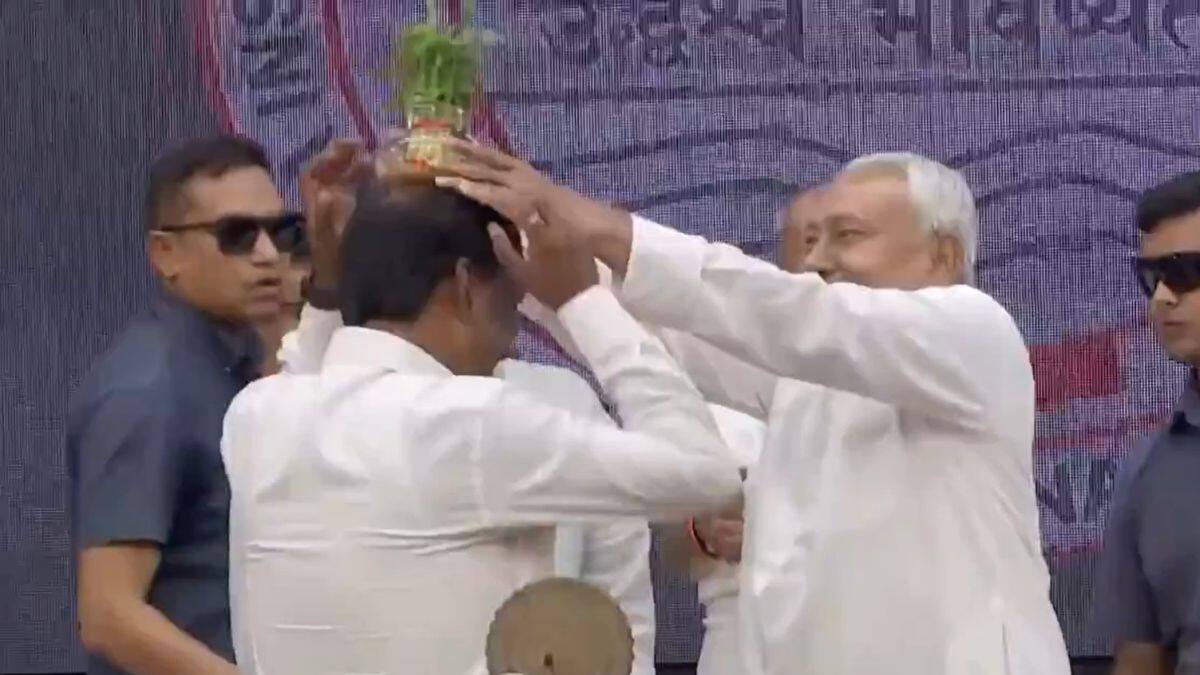 Nitish Kumar's Awkward Moment At Event, Places Plant On Head Of Senior Official: Video