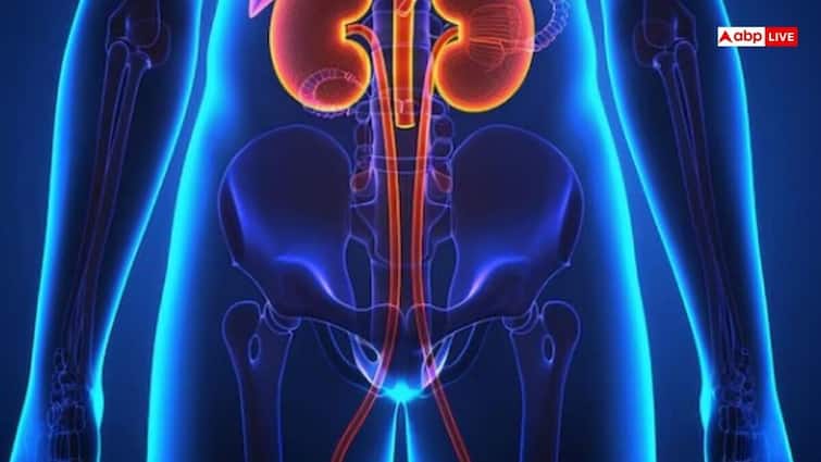 body parts swelling sign of kidney damage check immediately शरीर के इन हिस्सों में सूजन से समझ जाएं किडनी हो चुकी है खराब, तुरंत कराएं जांच