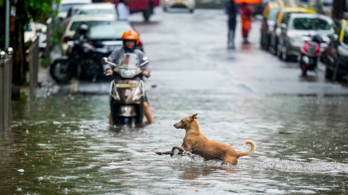 मुंबई की बारिश ने 107 साल का रेकॅार्ड तोड़ा! सरकारी दफ्तरों में कर्मचारियों को 4 बजे तक घर जाने के आदेश