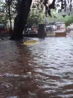 Mumbai Rain Updates : मुंबईत पावसाचा धुमाकूळ, मंत्रालयाबाहेर साचलं गुडघाभर पाणी, पाहा PHOTOS